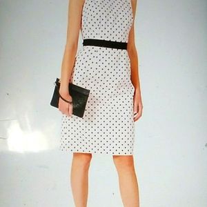 Hobbs London Fiona Pink Cotton Black Polka Dot Shift Dress Size 6 Crew Neck NWT